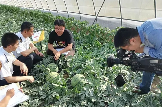 寒流無情，農(nóng)大和豫藝有愛