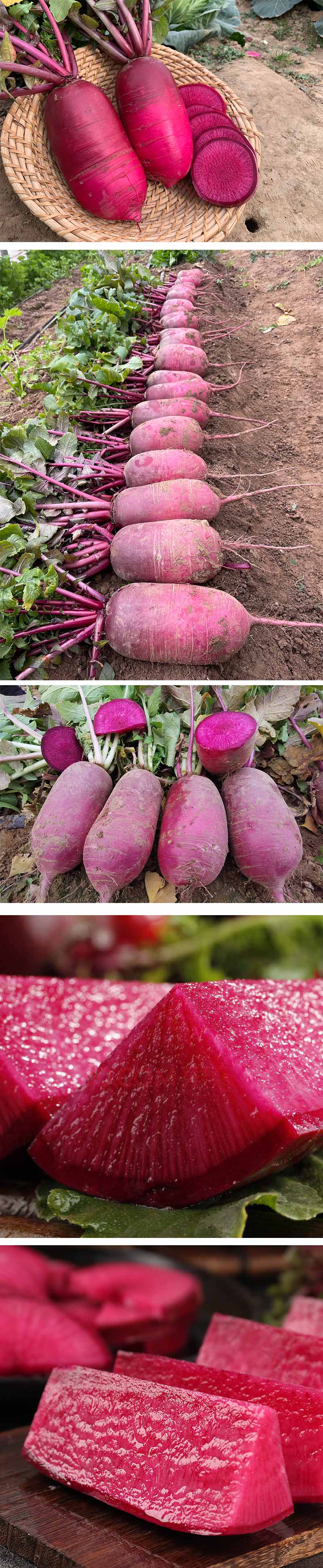 xiangqing.jpg xiangqing.jpg