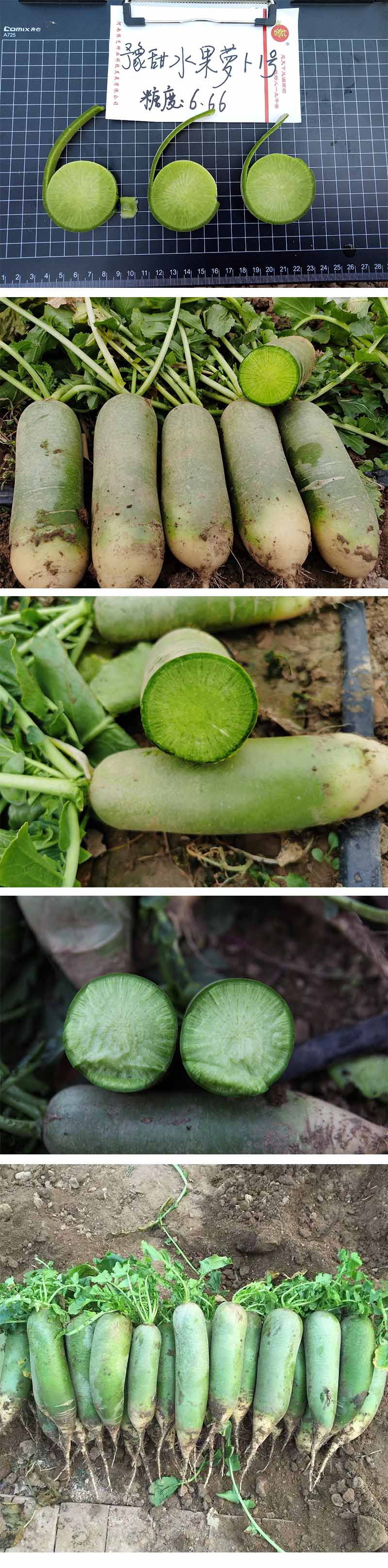 xiangqing.jpg xiangqing.jpg