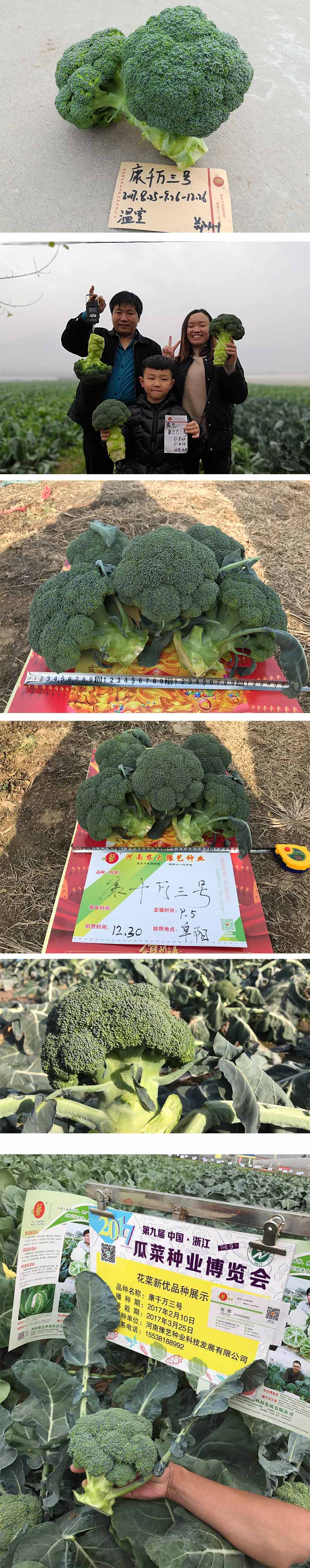 xiangqing.jpg xiangqing.jpg