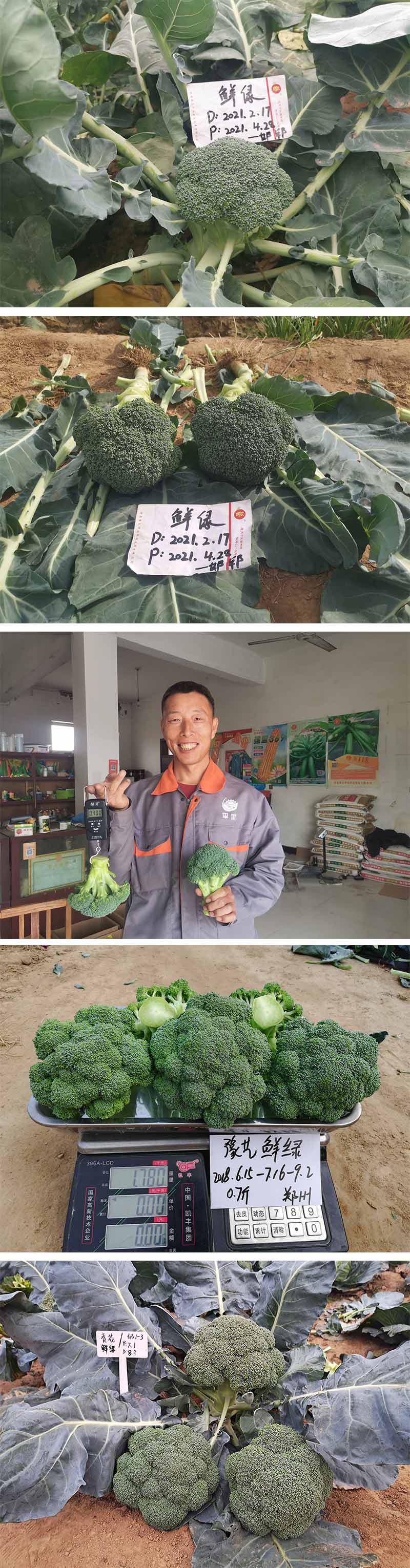 xiangqing.jpg xiangqing.jpg