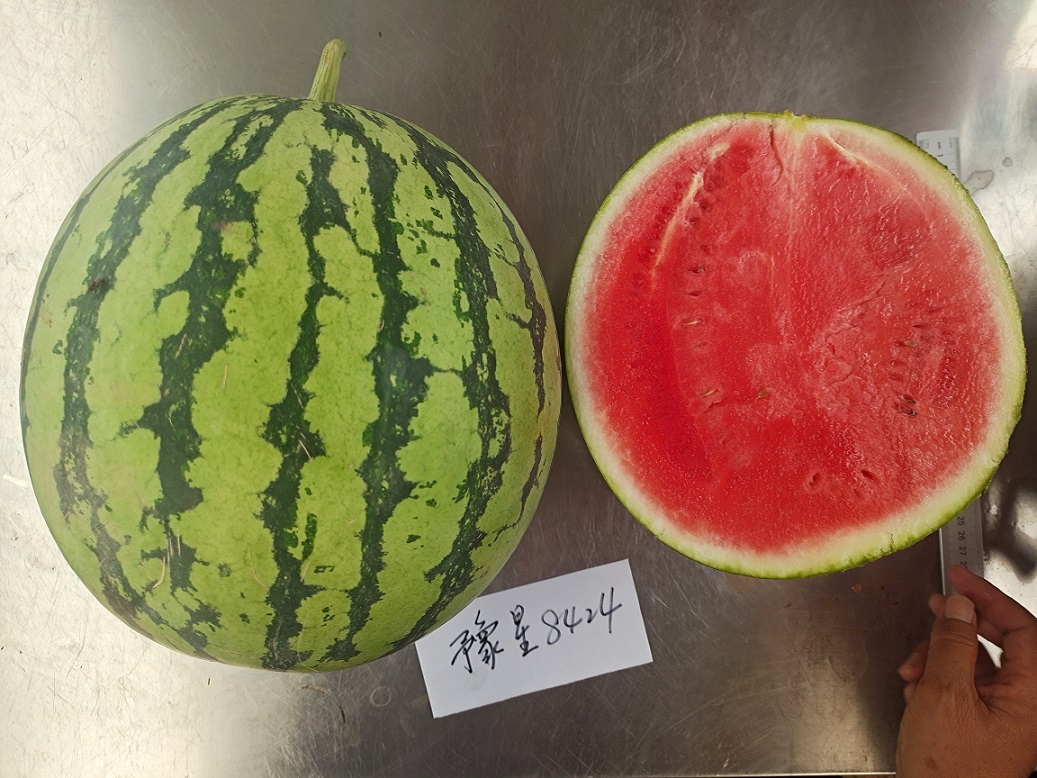 IMG_20200614_074958.jpg IMG_20200614_074958.jpg