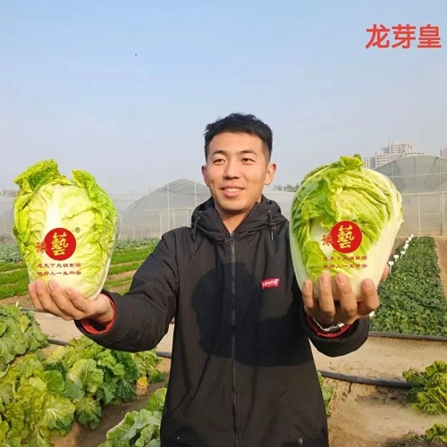 23031410430809e494.jpg 23031410430809e494.jpg