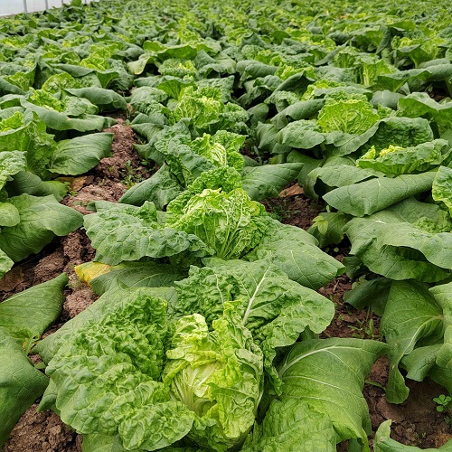 230314104308d22ecf.jpg 230314104308d22ecf.jpg