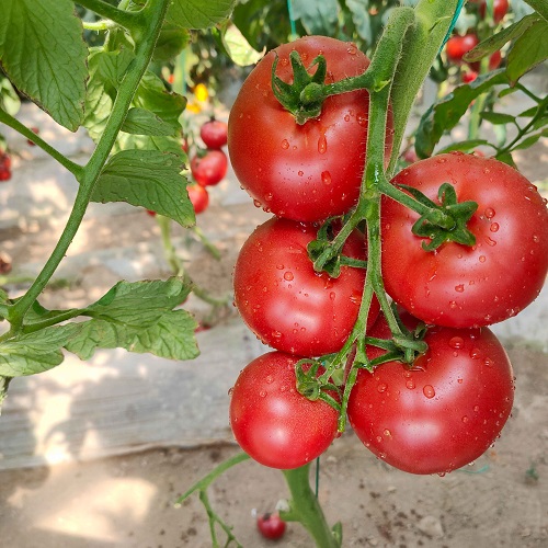 2303141024134842ba.jpg 2303141024134842ba.jpg