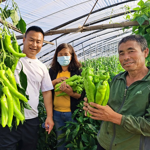 230301154236f0ffc2.jpg 230301154236f0ffc2.jpg