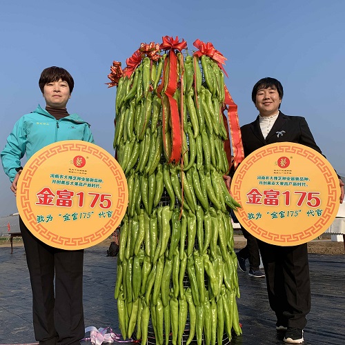 230301154236dc78da.jpg 230301154236dc78da.jpg