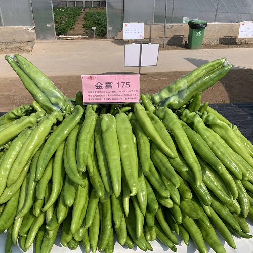 23030115423696e89e.jpg 23030115423696e89e.jpg