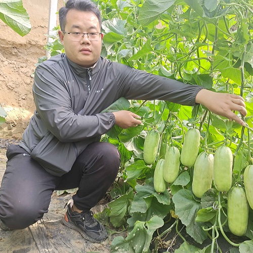 230301152510ba2f43.jpg 230301152510ba2f43.jpg