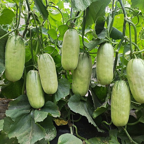 2303011525091ab70b.jpg 2303011525091ab70b.jpg