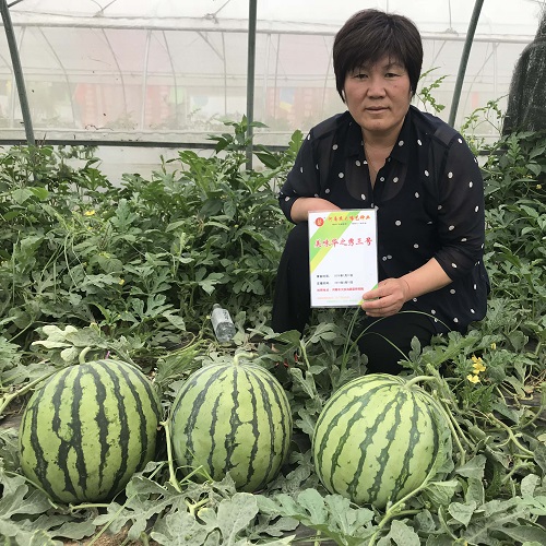 230301145911aea8b6.jpg 230301145911aea8b6.jpg