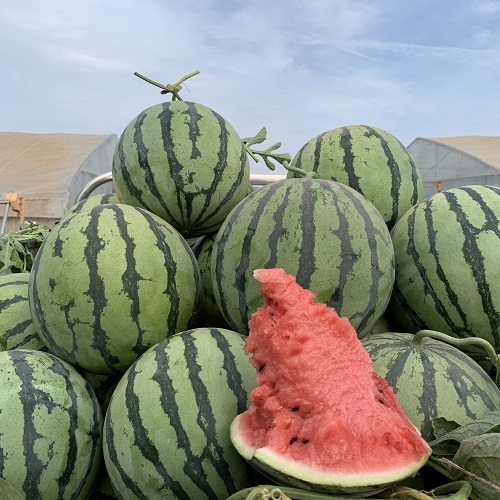 230301145853329015.jpg 230301145853329015.jpg