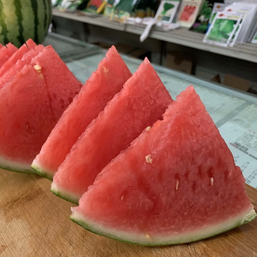 2303011458537675a9.jpg 2303011458537675a9.jpg