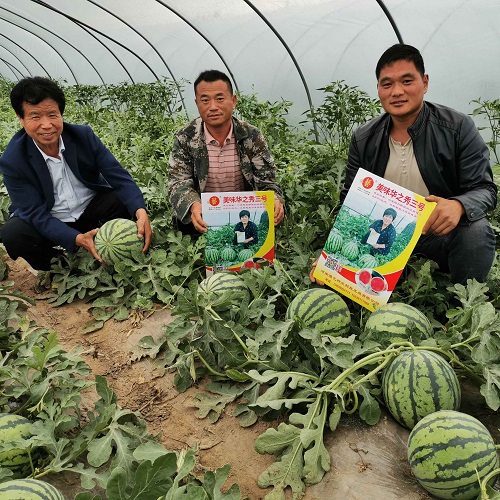 2303011458534b2e99.jpg 2303011458534b2e99.jpg