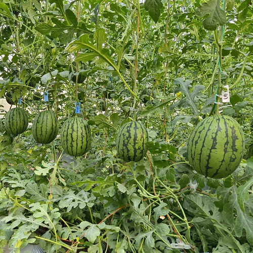 2303011449115341fc.jpg 2303011449115341fc.jpg